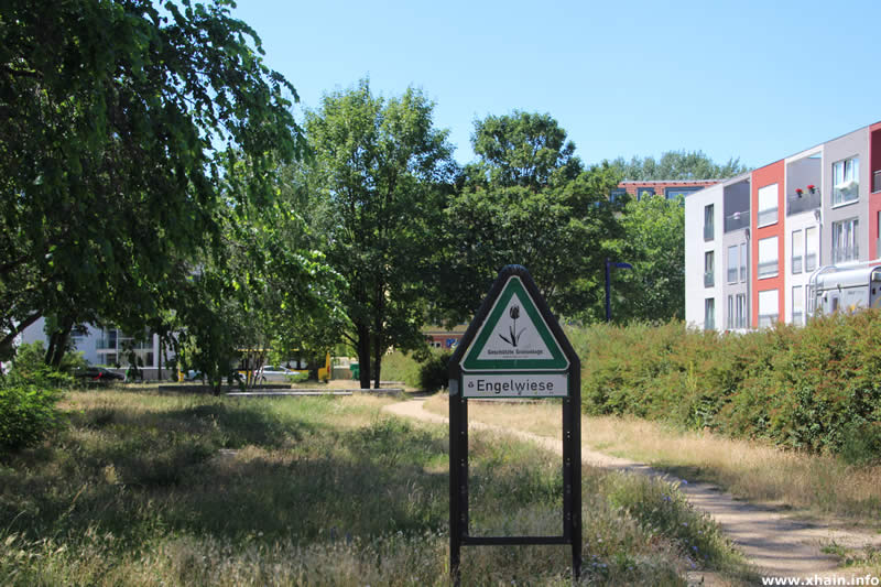 Engelwiese an der Jollenseglerstraße