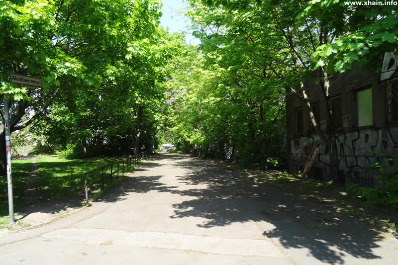 Mehlbeerenweg Ecke Holzmarktstraße