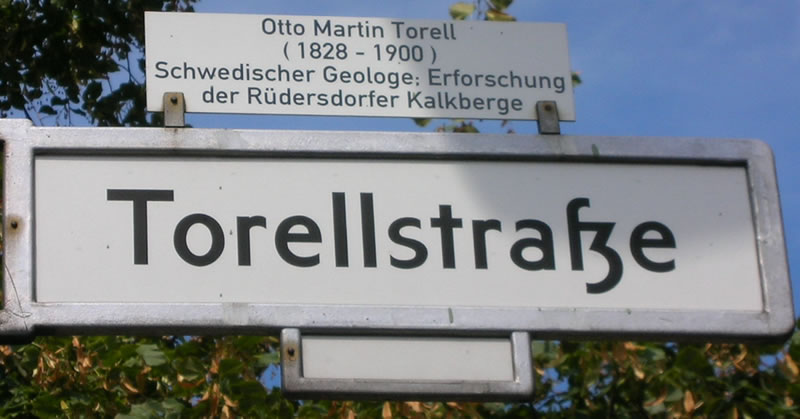 Torellstraße