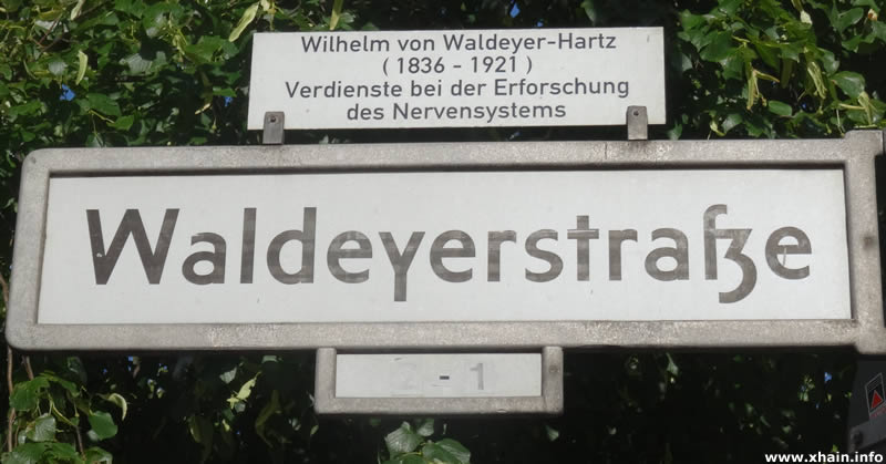 Waldeyerstraße